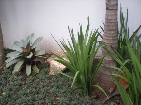 Umburanas 02
